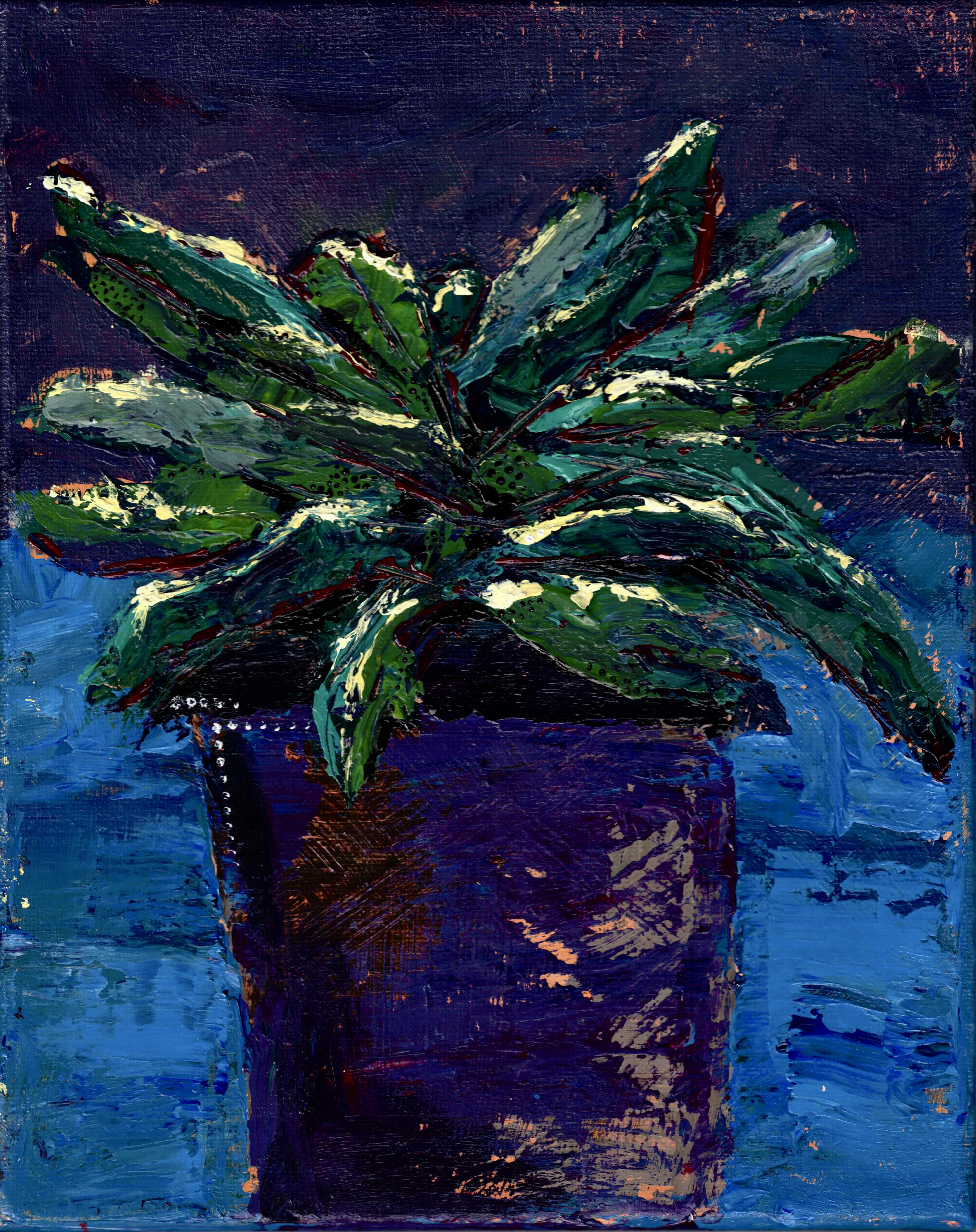 Sherbert, Acrylic, 2025